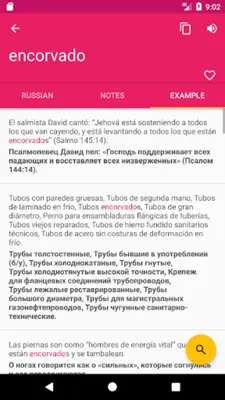 Russian Spanish Dictionary android App screenshot 4